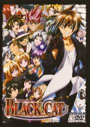 Black cat1